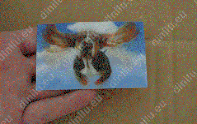 Lenticular print, business card size (54x86mm), customised image