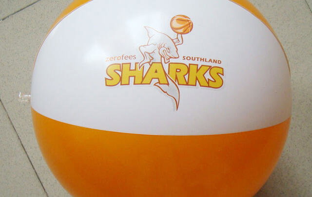 Beach balls 45cm / 17.5 inch with custom logo image