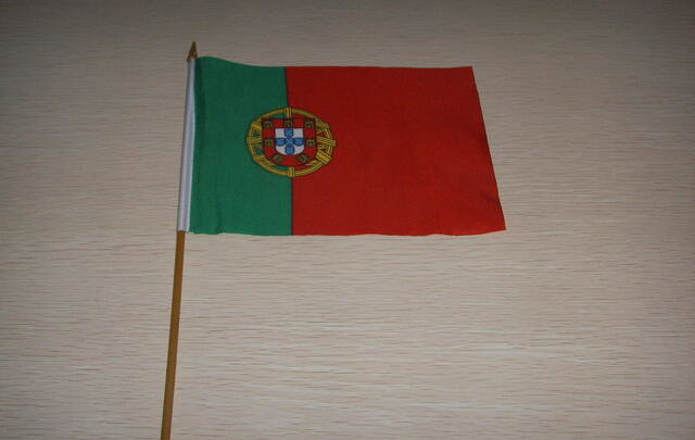 Custom printed hand held flag 20x30cm  image
