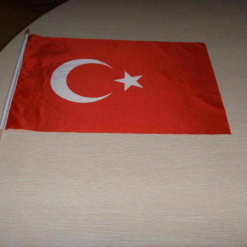 Custom printed flag 30x45cm for hand or car Custom printed car flag 30x45cm image