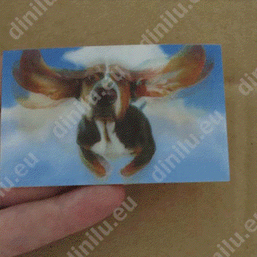 Lenticular print, business card size (54x86mm), customised image